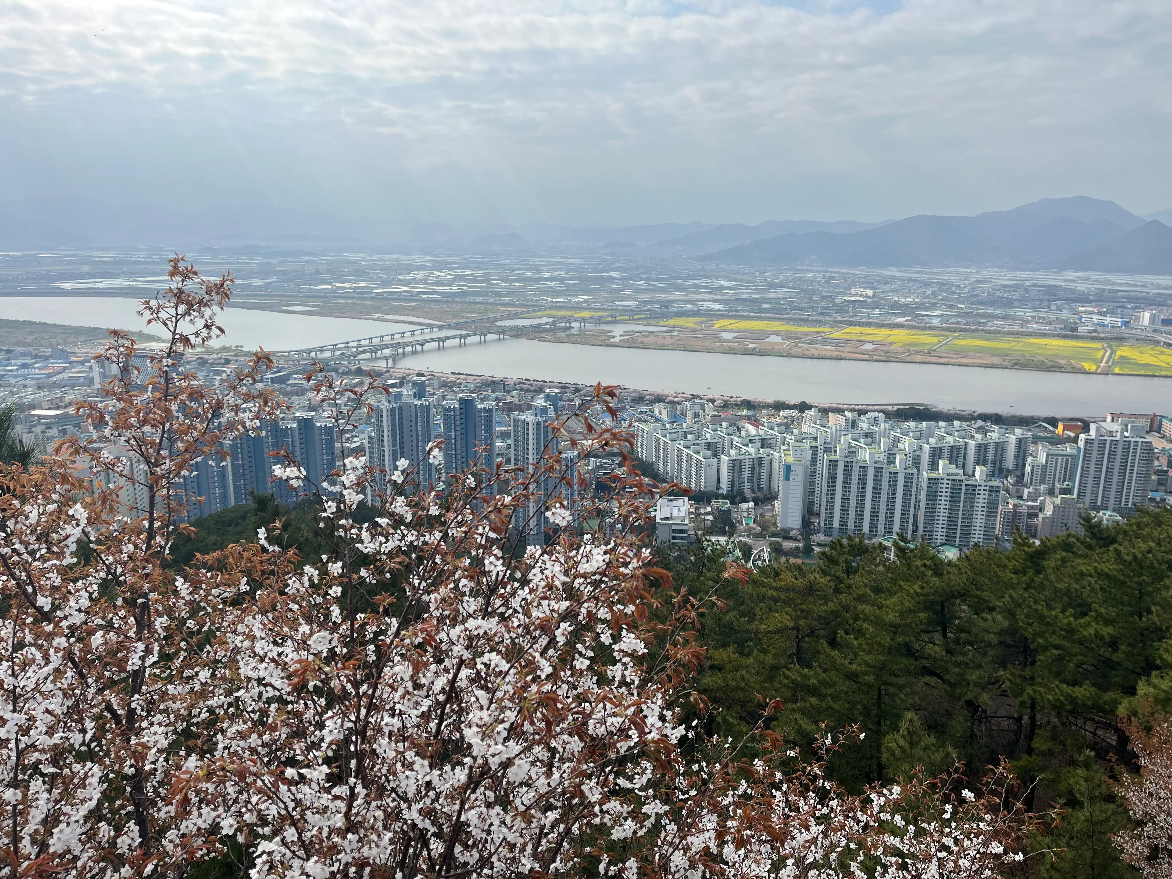 구포무장애숲길6