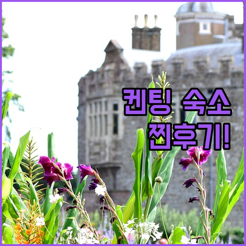 내돈내산! 솔직 후기로 알아보는 켄팅