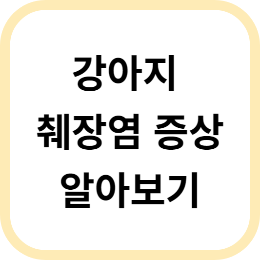  강아지 췌장염 증상 및 조기 발견과 대처 방법