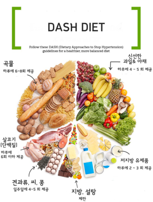 DASH-식단