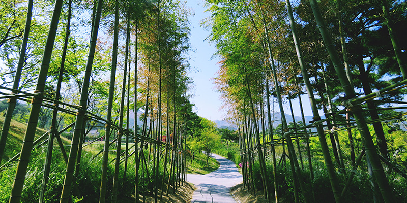 석정힐CC