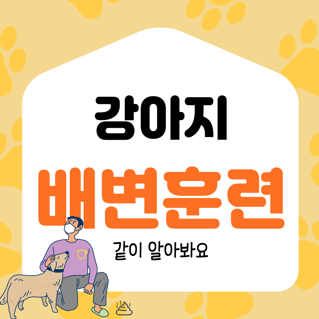  강아지 실내 배변 훈련 궁금하신가요