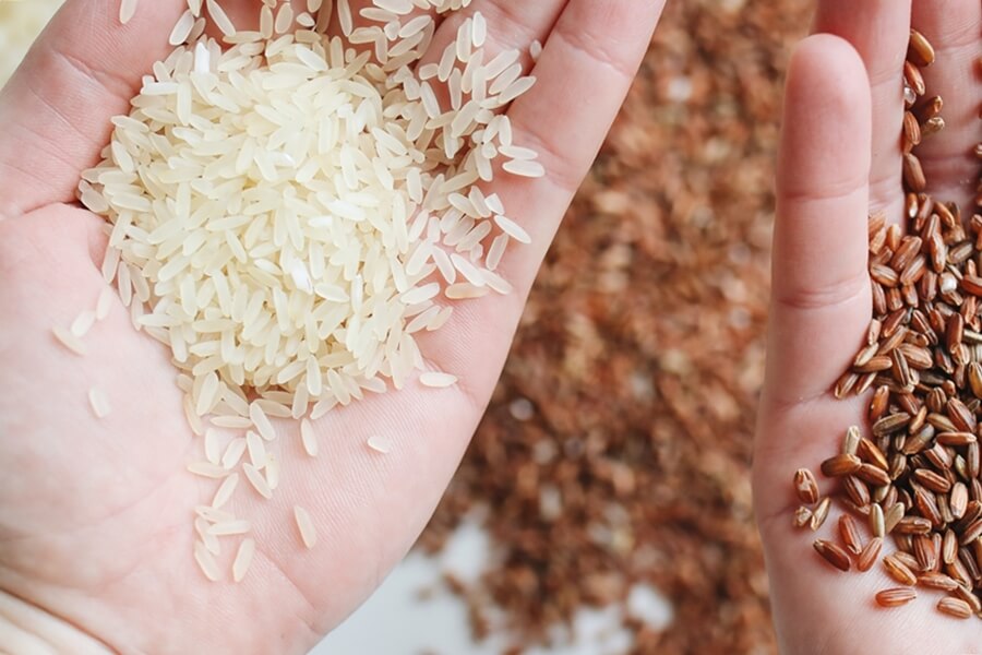 카무트쌀-그리고-흰쌀