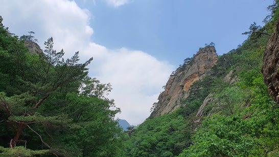 전업투자자J실전투자5원칙