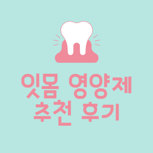 잇몸 영양제 추천