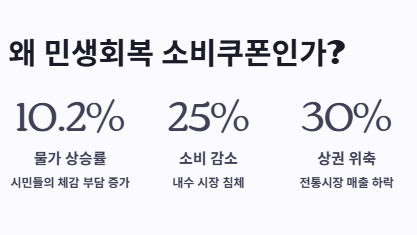 2025 민생회복 소비쿠폰이란? 소비쿠폰 지원금액&amp;#44;신청방법&middot;절차&middot;기간&amp;#44;꿀팁