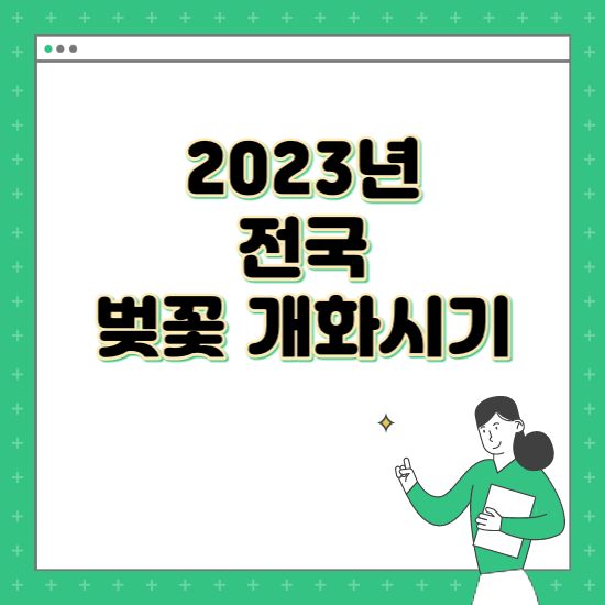 2023년 벚꽃 시즌