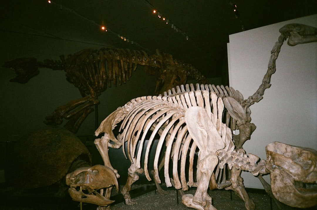 ancestor