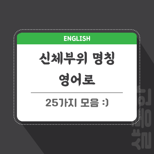 English-관련-포스팅-썸네일