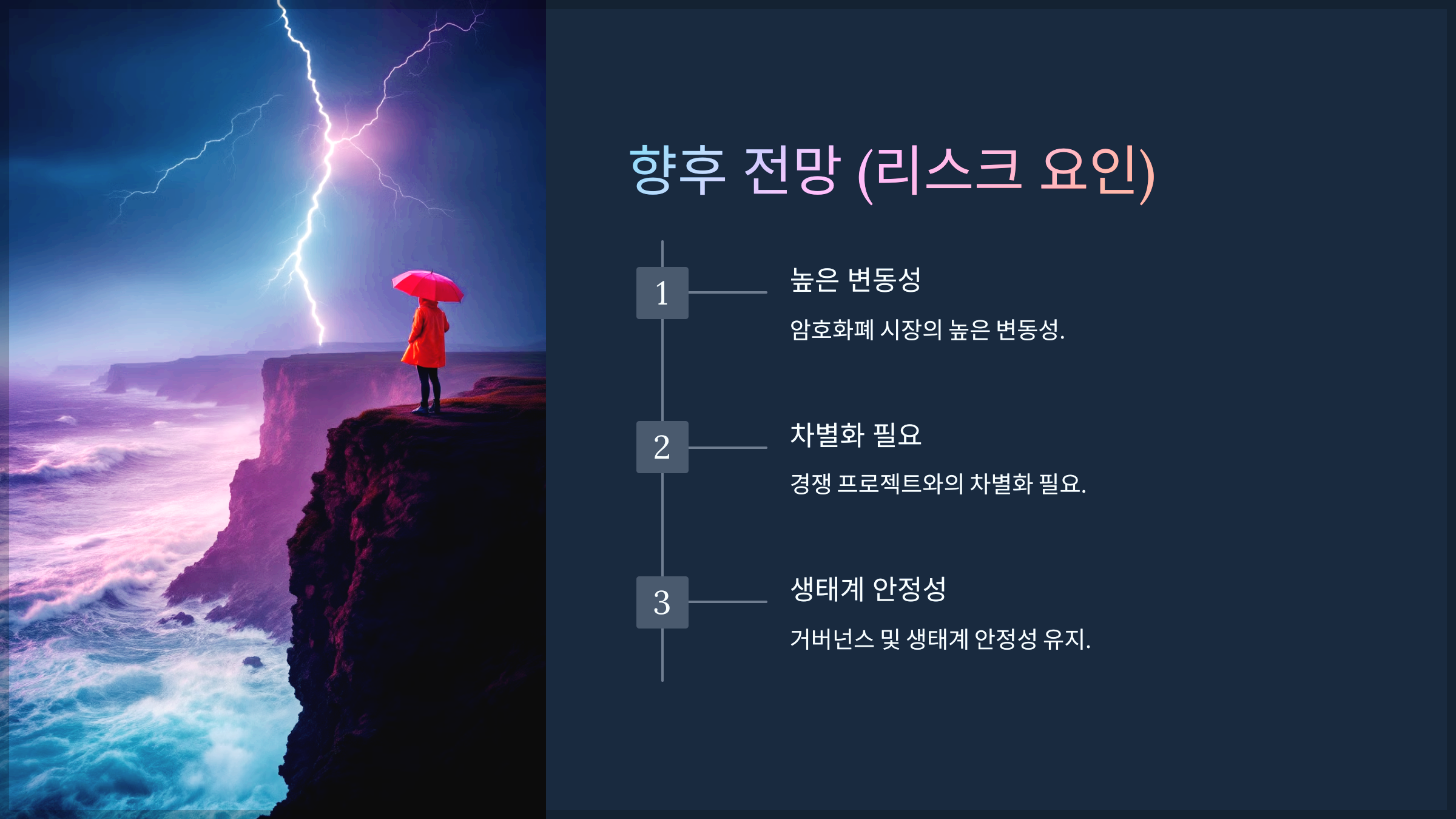 향후 전망 (리스크 요인)