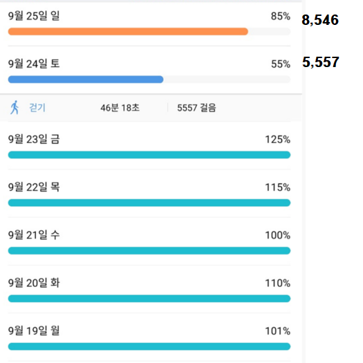  9/24(토)~9/25(일) 주말 간헐적 단식 식단