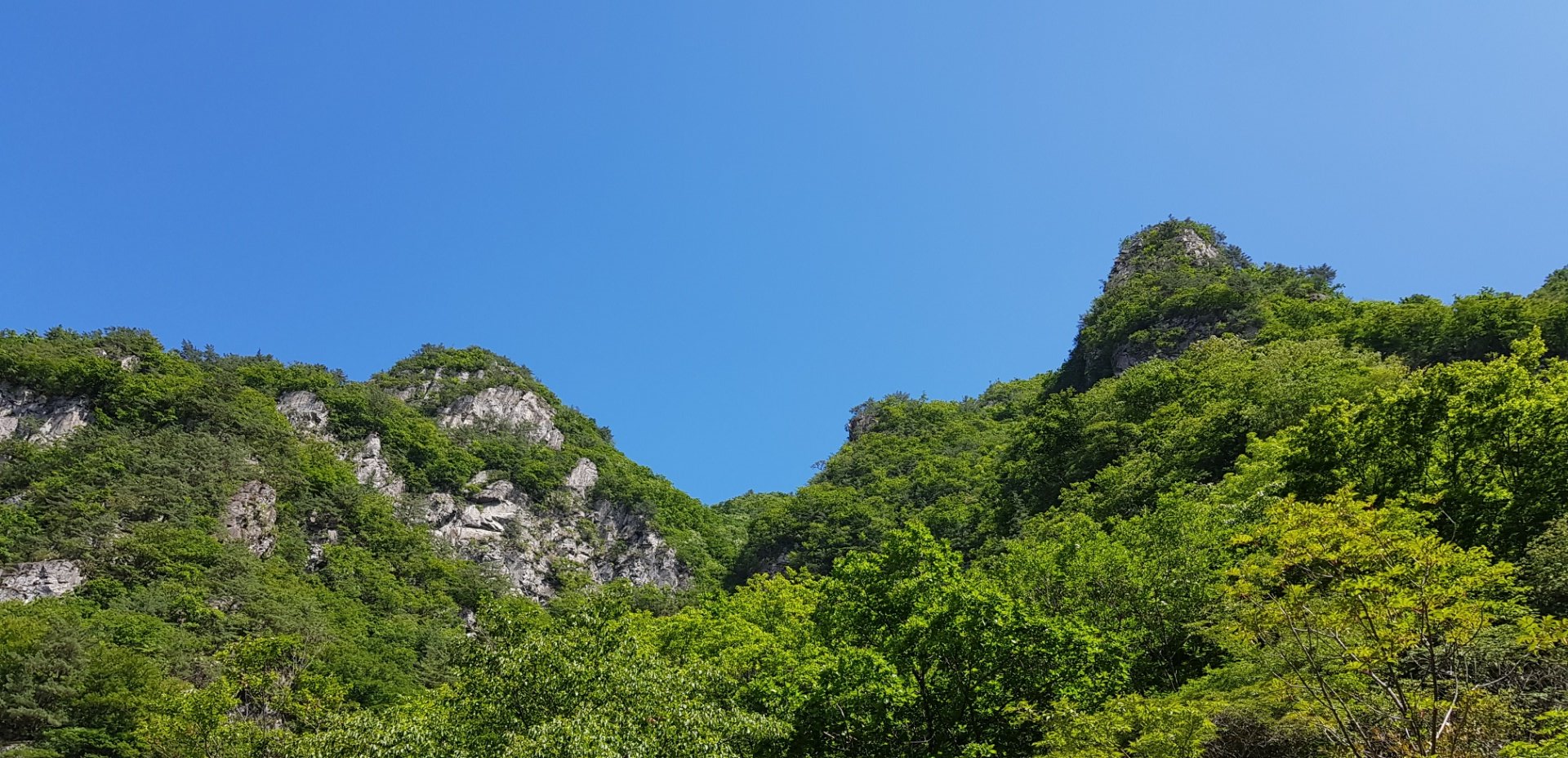 울산 천황산
