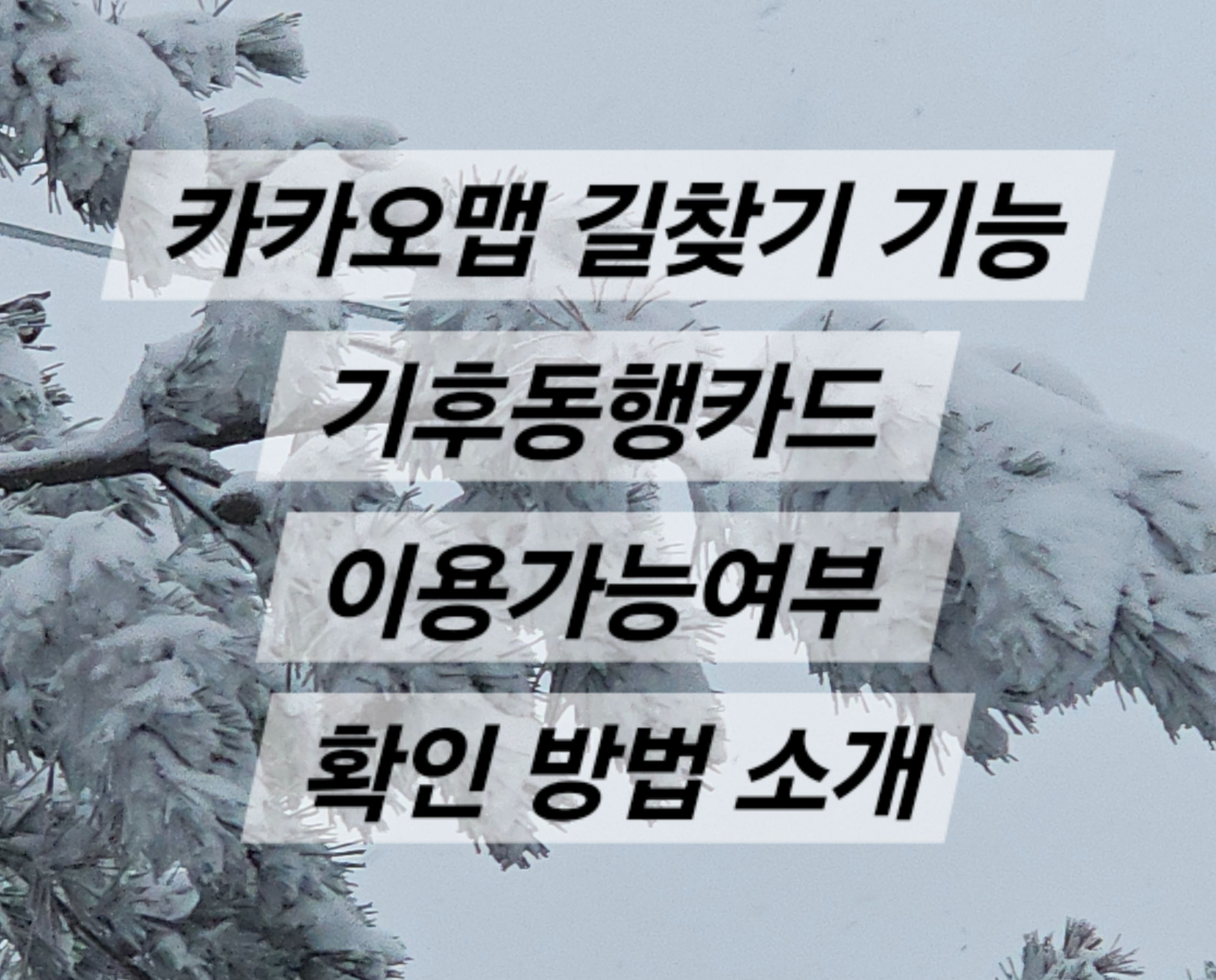 카카오맵 길찾기 기능, 기후동행카드 이용가능여부 확인 방법 소개