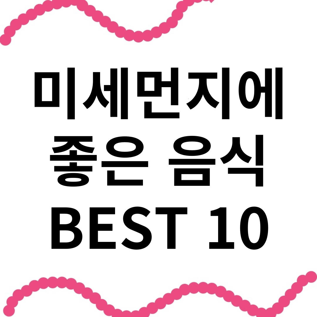 미세먼지에 좋은 음식 BEST 10