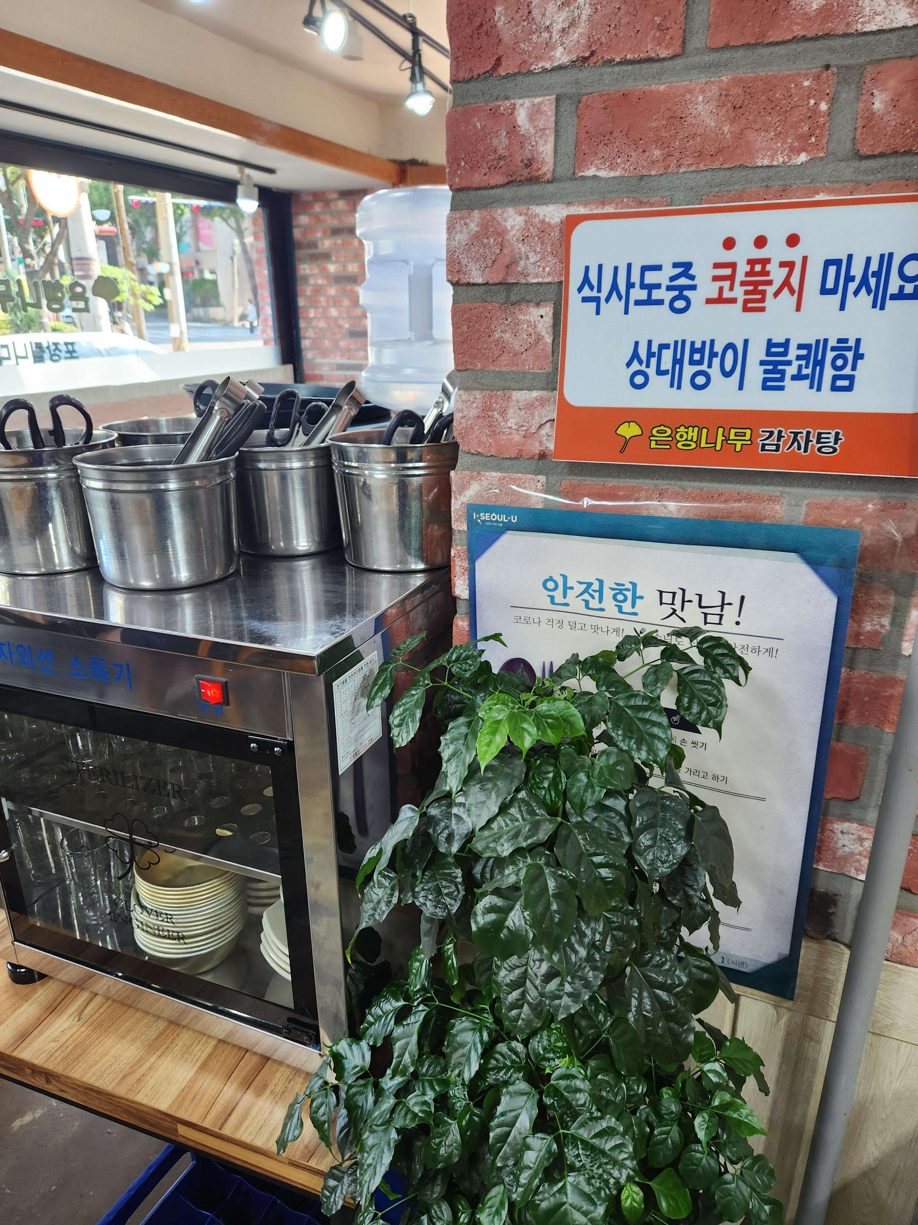 은행나무감자탕 3