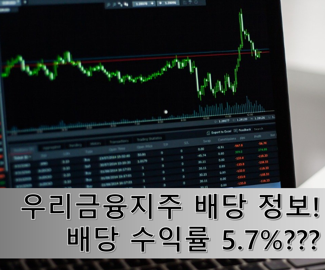  우리금융지주 배당금, 배당일그리고 배당 수익률 알아보겠습니다. 5%가 넘는 수익률?