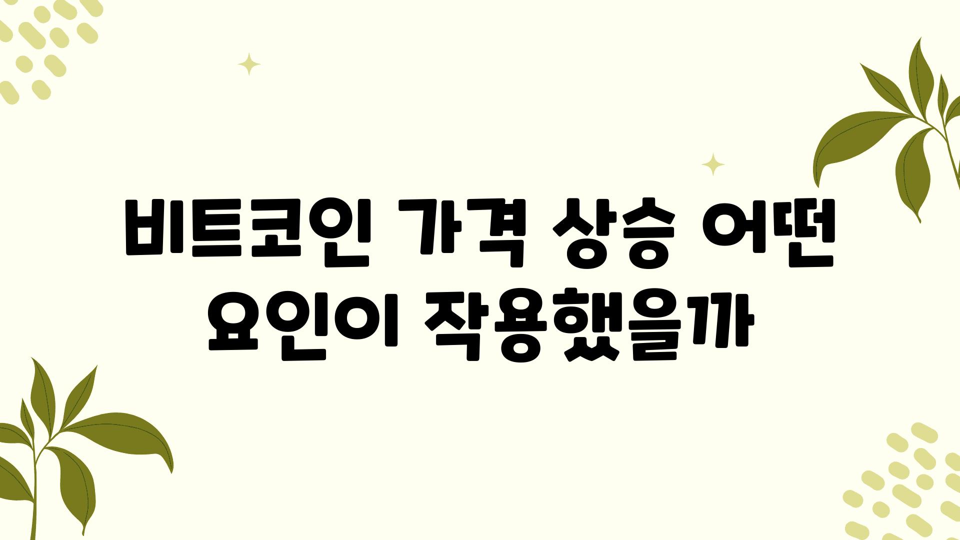 비트코인 가격 상승 어떤 요인이 작용했을까