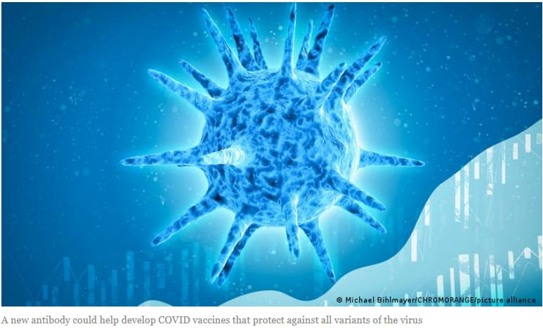 과학자들&#44; 코로나19 변종에 작용하는 두 가지 항체 발견 Scientists Find Antibodies That Neutralize All COVID Strains