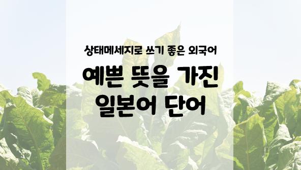  [ 예쁜 일본어 단어 ] 카톡 상태메세지로 쓰기 좋은 외국어 단어