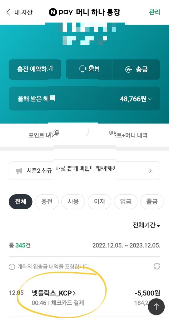 5500원 내고 넷플릭스 광고형 스탠다드 요금제 가입