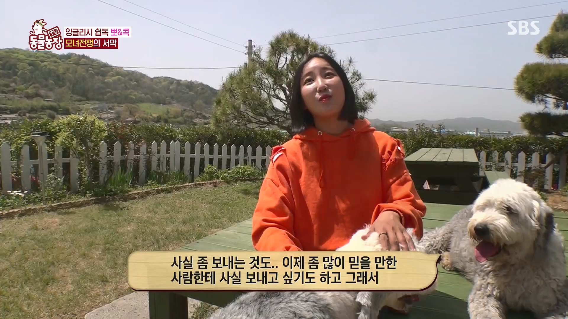 TV 동물농장.E1120.230514p.H264-F1RST.mp4_20230515_203525.523.jpg