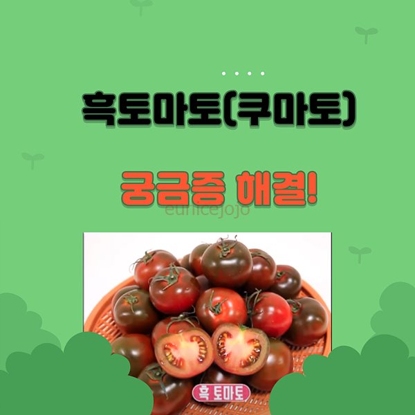 흑토마토사진