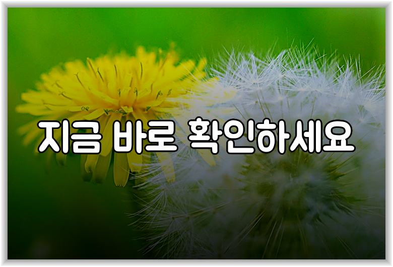 지금 바로 확인하세요