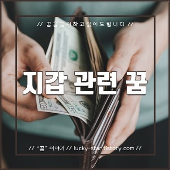  【꿈해몽/꿈풀이】 지갑 관련 꿈