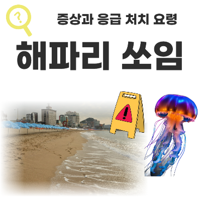 해파리 쏘임 증상과 응급 처치 요령