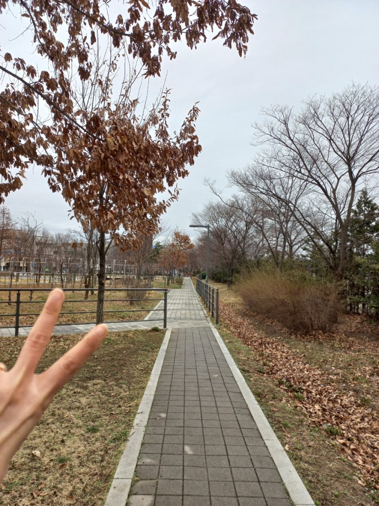 ●4인 가족 식비 절감 방법 이것저것 13