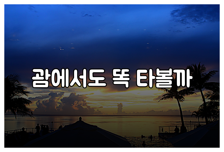 괌에서도 똑 타볼까