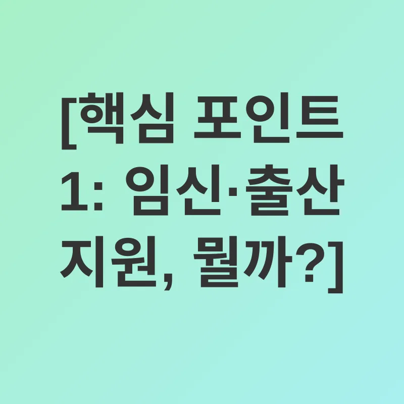 임신·출산 지원_1