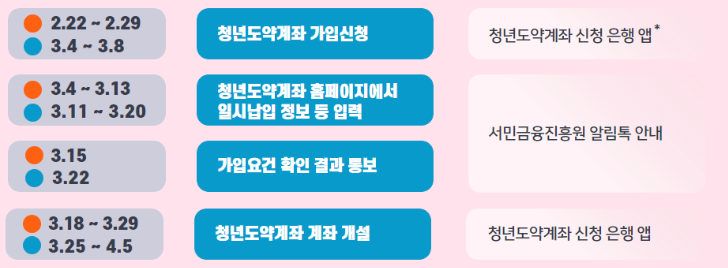  청년도약계좌 일시납입 지원 및 3월 일정