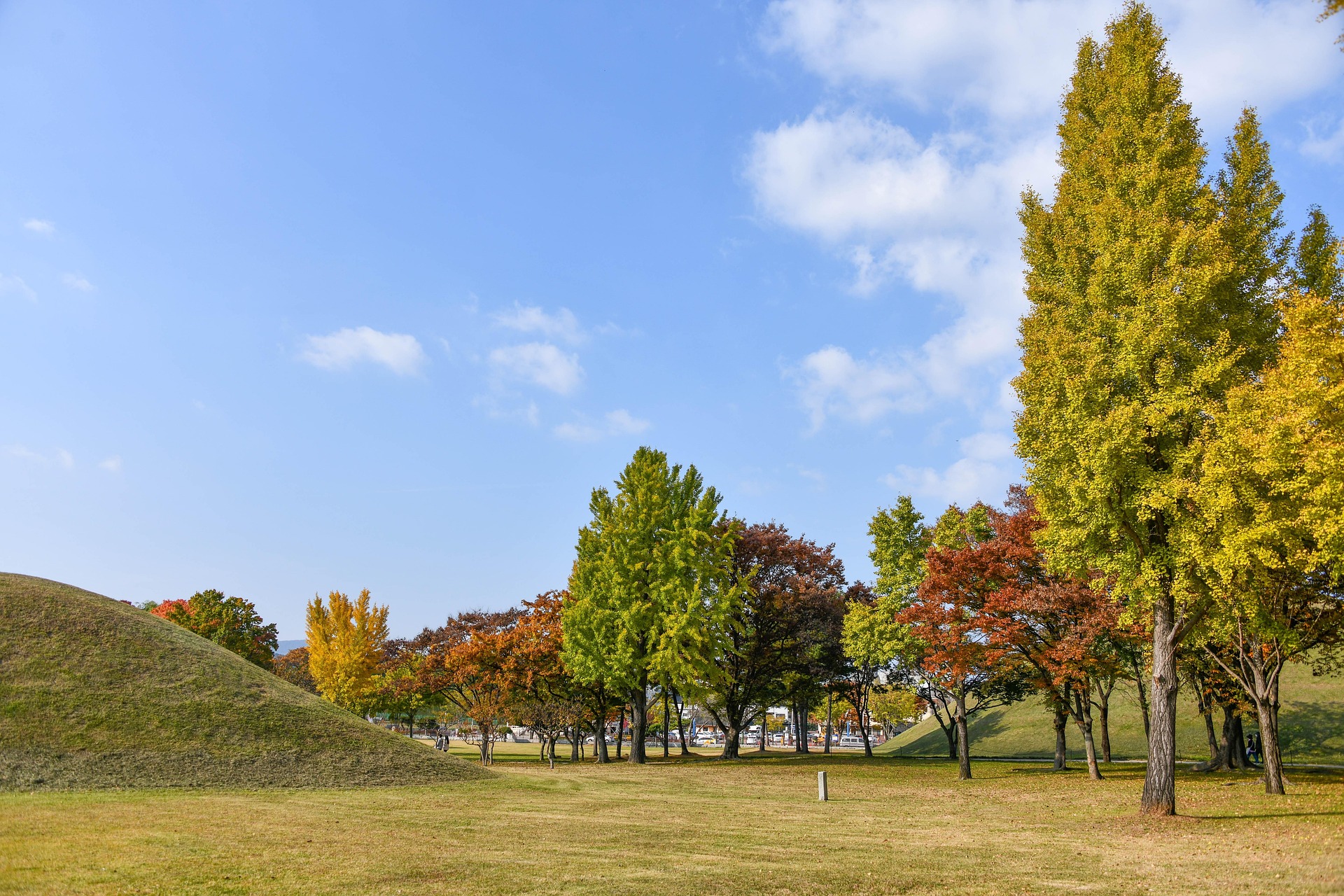 경주 대릉원 풍경