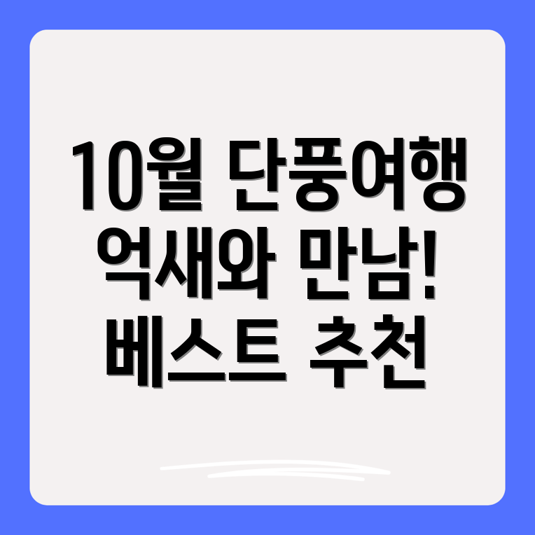 가을 국내여행