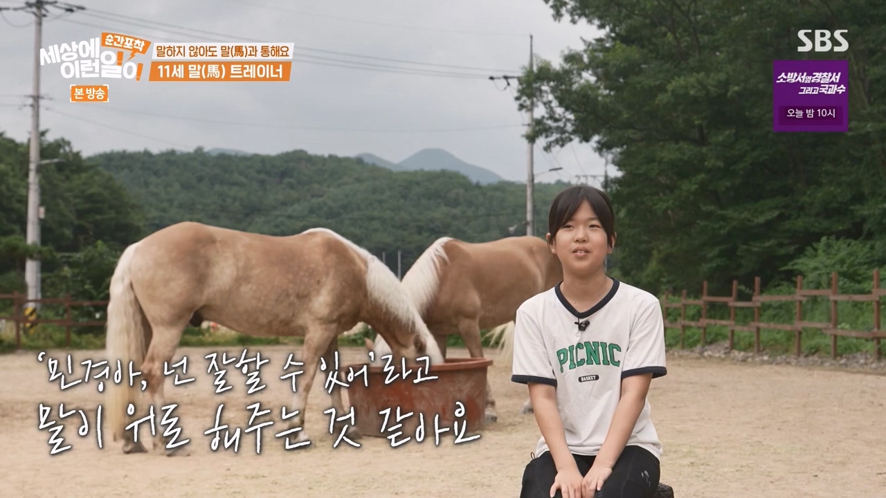 순간포착 세상에 이런일이.E1240.230806p-NEXT.mp4_20230806_161417.122.jpg