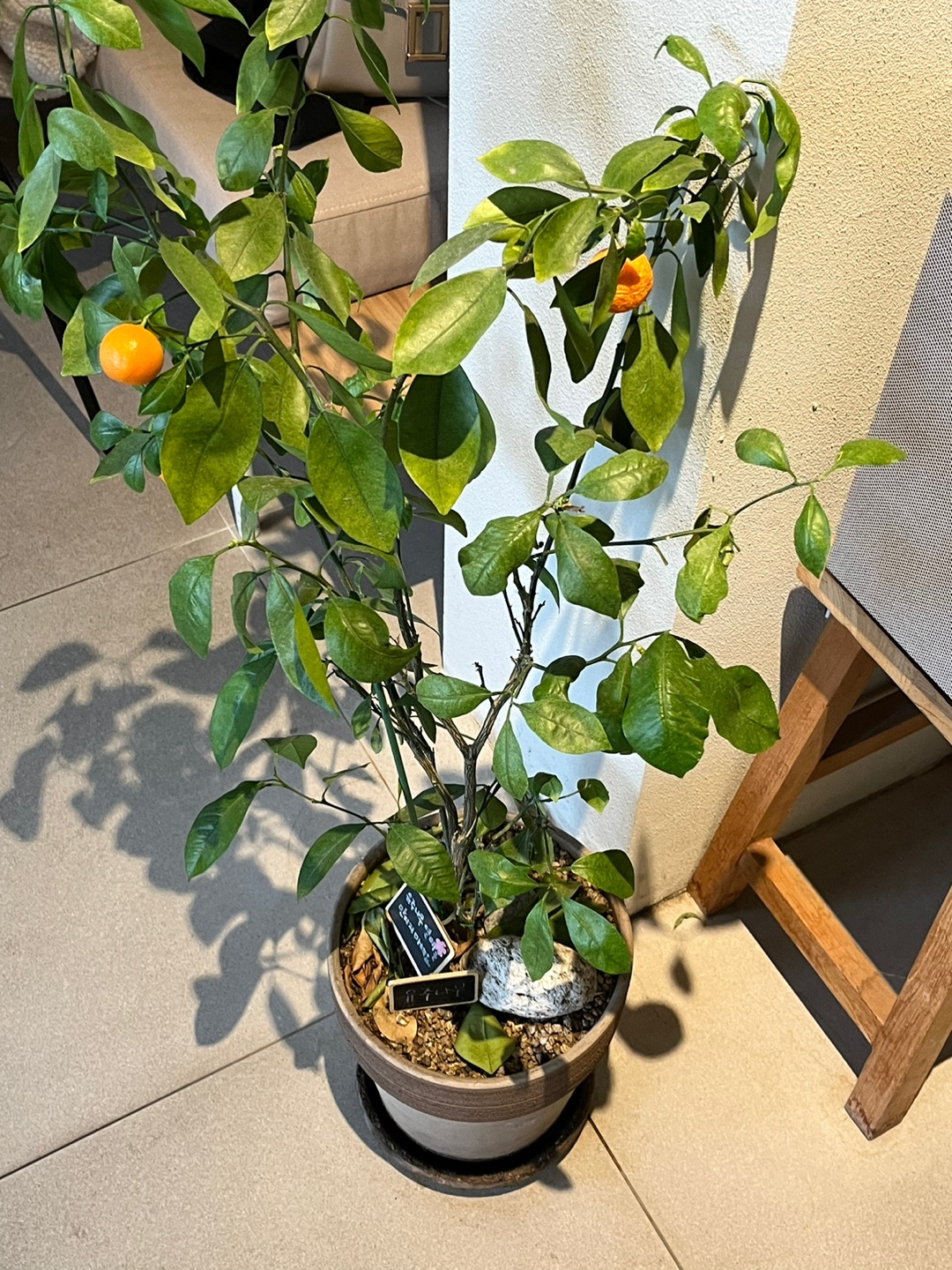 커피해요 이미지