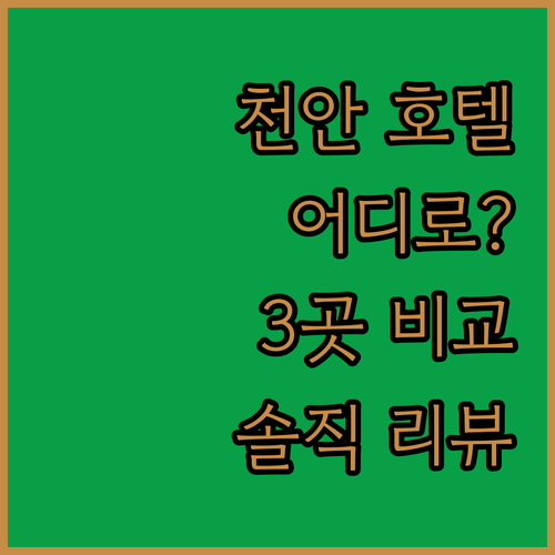 천안 호텔 어디로 갈까? 라마다 앙코