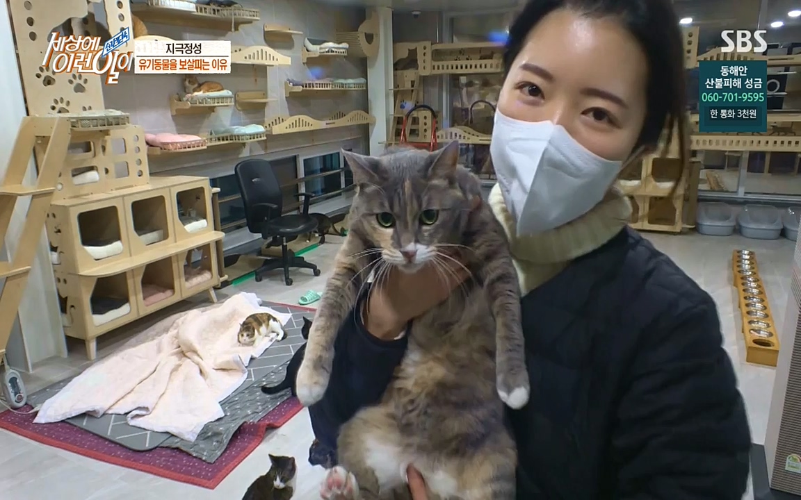 순간포착 세상에 이런일이.E1171.220316p-NEXT.mp4_20220316_185026.792.jpg