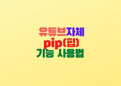  유튜브 pip(핍) 기능 사용법 백그라운드 재생 방법