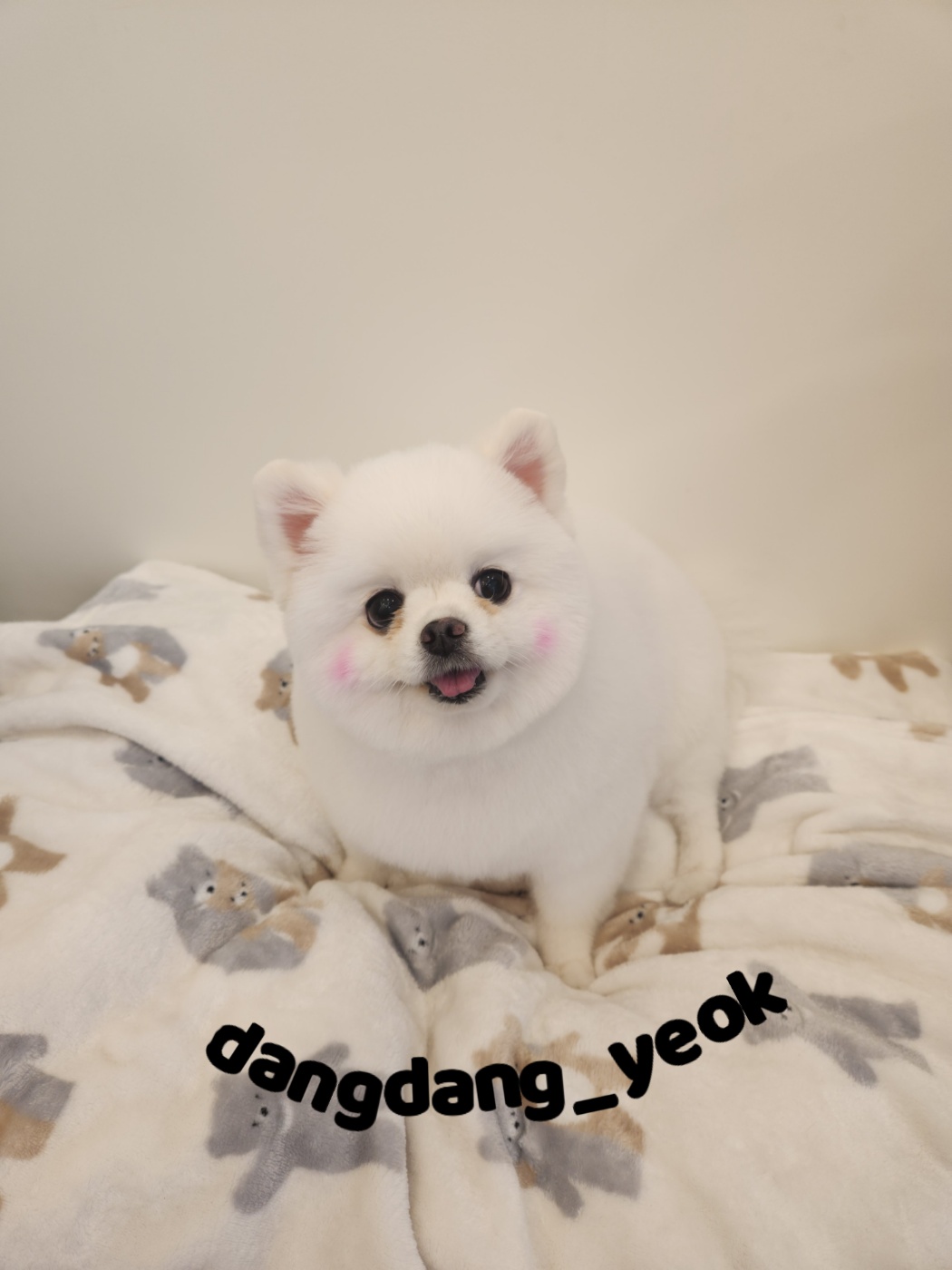 소미미용실 이미지