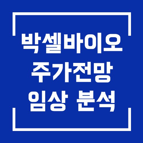  박셀바이오 분석 주가와 투자 전망 임상 한 눈에 보기