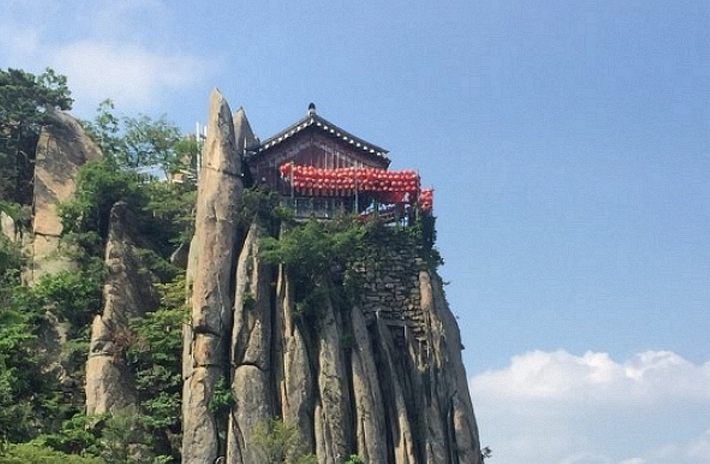 숲과함께 이미지