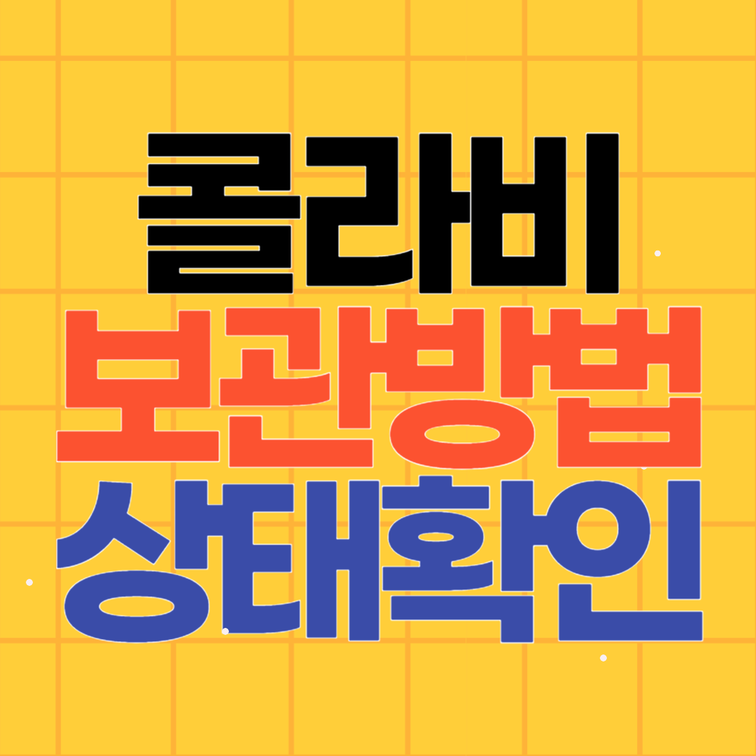 콜라비 보관법과 상태확인