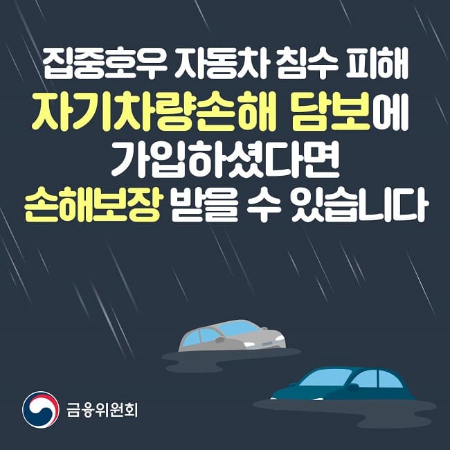  집중호우 침수피해 자동차는 언제 보장 받을 수 있나 ㅣ 침수차랑 비 맞은 차랑 뭐가 다르지?