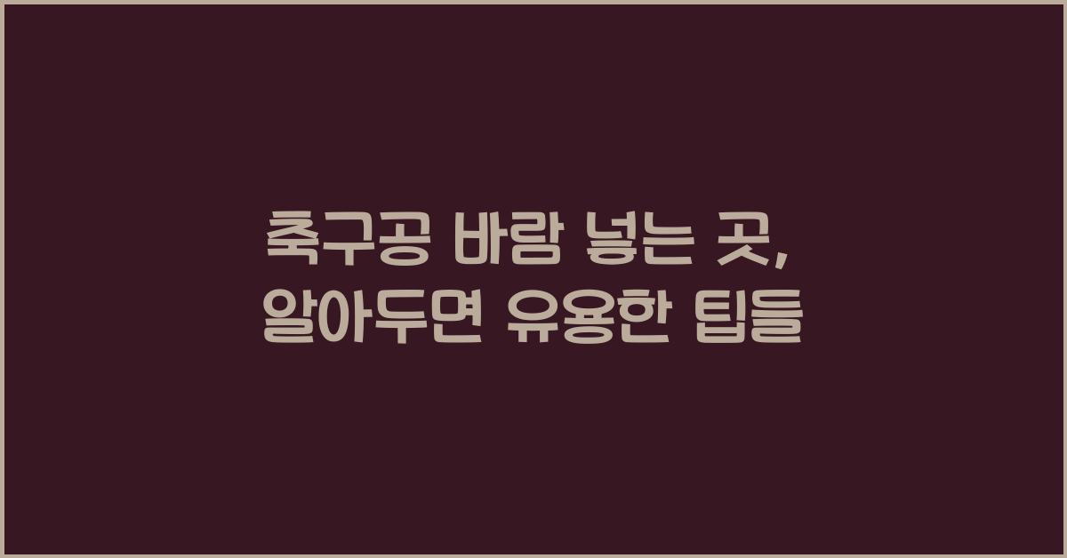 축구공 바람 넣는 곳
