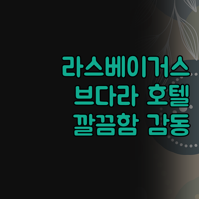 라스베이거스 브다라 호텔, 깔끔함에 