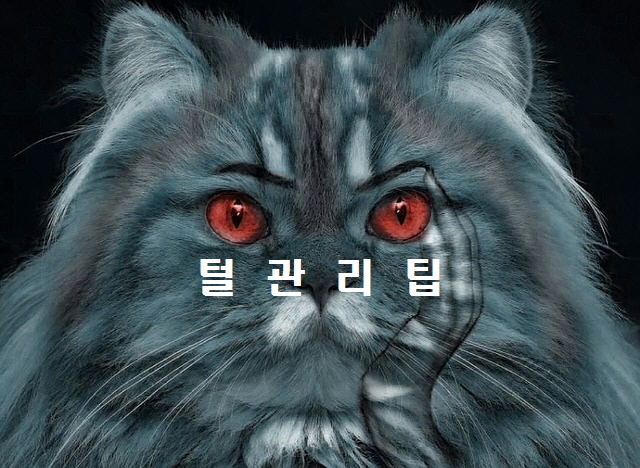  노다지네 잡학다식