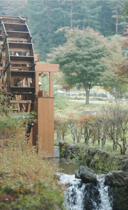 화담숲 예매·예약·주차 완벽 가이드