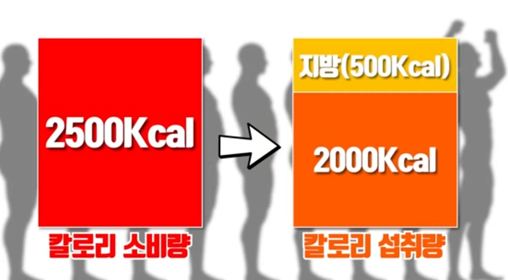 먹어도 살빠지는 다이어트 식단 구성 방법